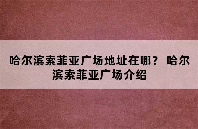 哈尔滨索菲亚广场地址在哪？ 哈尔滨索菲亚广场介绍